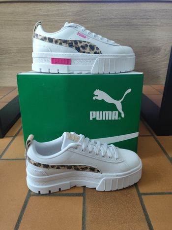 Basket puma