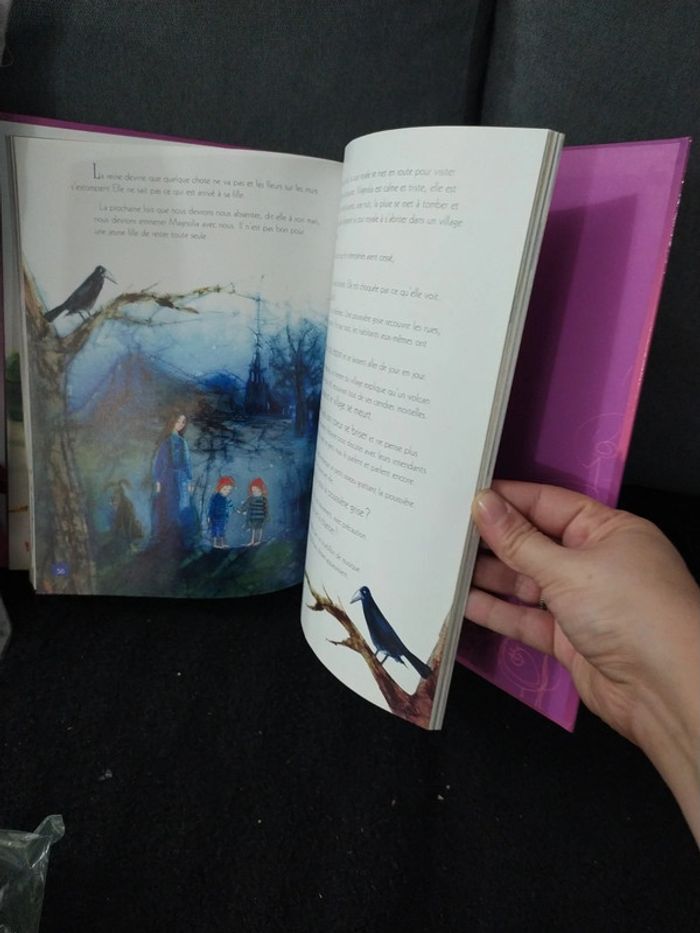 Livre - photo numéro 4