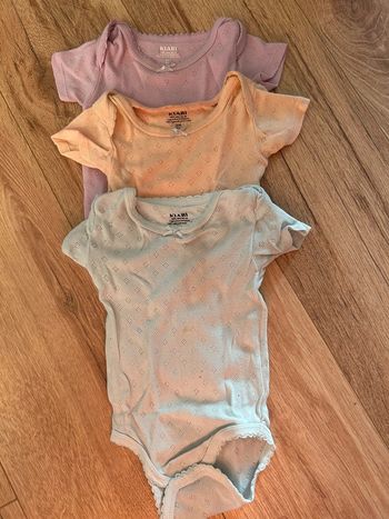 Bodies