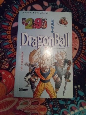 Dragon ball 29