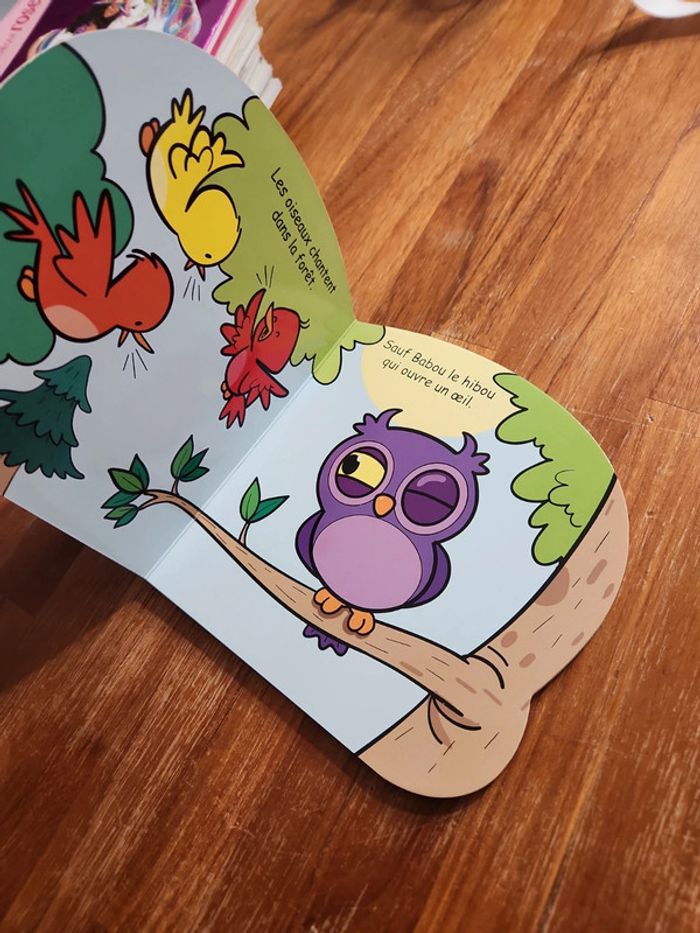 Livre : Babou le hibou - photo numéro 5