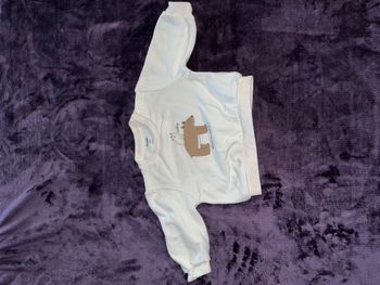 Sweat bébé garçon taille 6 mois