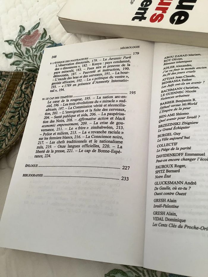 Négrologie, pourquoi l’Afrique meurt, par Stephen Smith - photo numéro 12