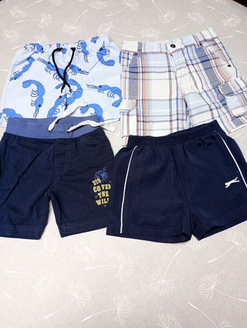 Lot shorts