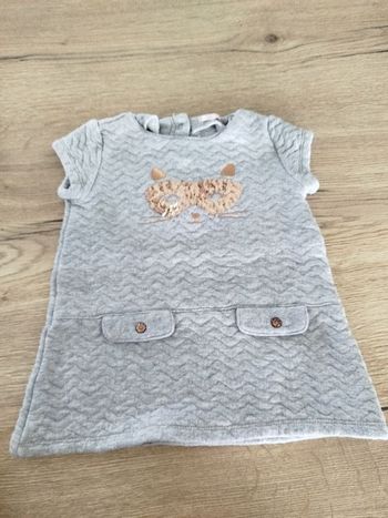 Robe grise 🐱