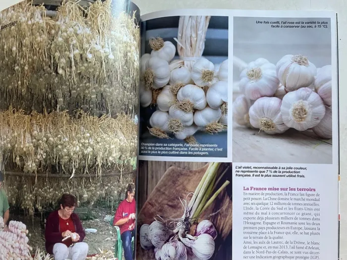 Livre : Papilles 18 - Le plaisir de cuisiner - Spécial pâtisserie - photo numéro 8