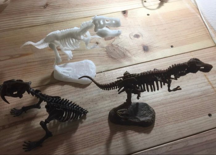 4 puzzles 3D dinosaures - photo numéro 5