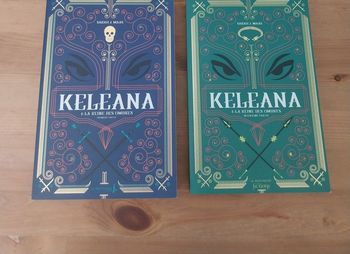 Romans Keleana tomes 4 Partie 1 et 4 Partie 2 La Reine des Ombres Sarah J. Maas La Martinière
