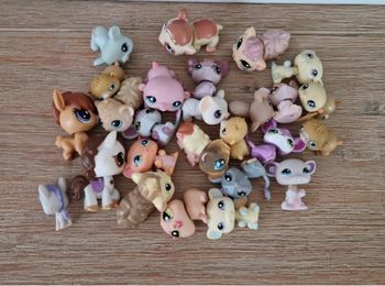 Petshop
