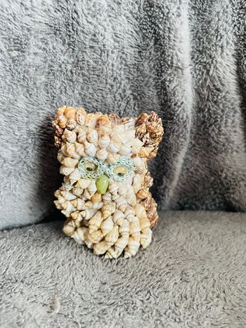 Bibelot vintage coquillage super chouette 🦉 