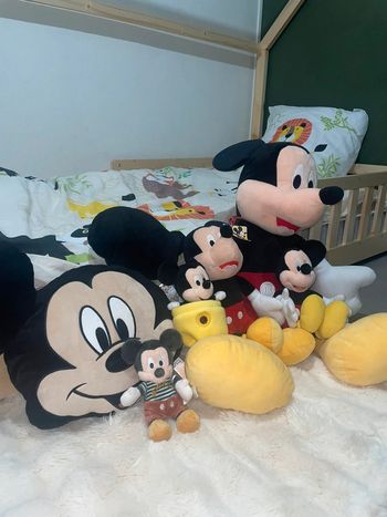 Lot Mickey