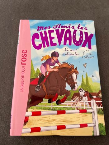 Livre bibliothèque rose mes amis les chevaux tome 17