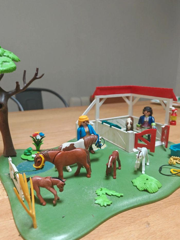 Ensemble playmobil cheval chevaux poulains - photo numéro 4