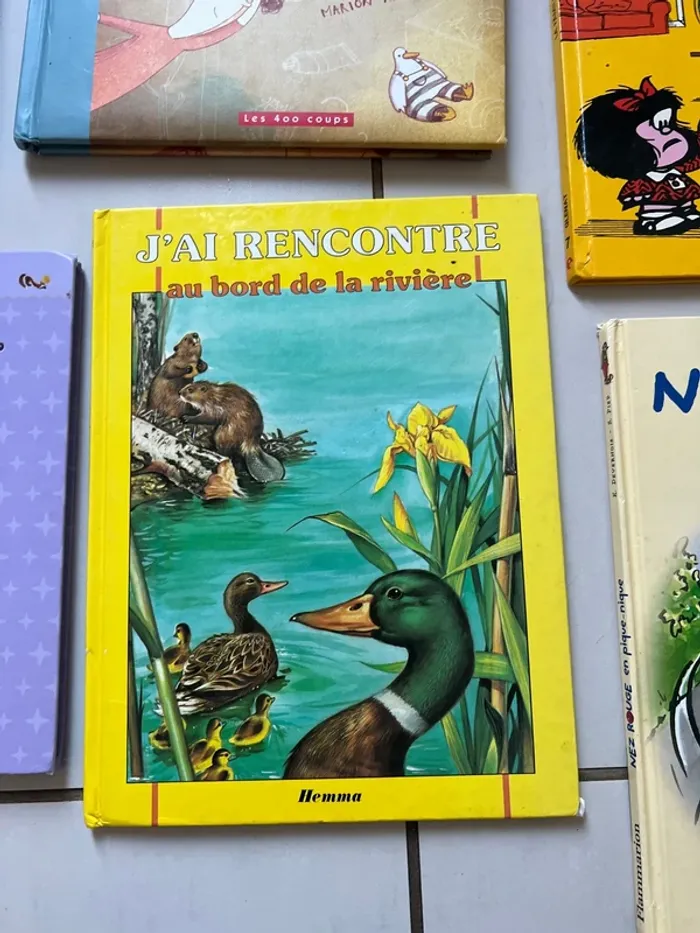 Lot de 18 livres divers thèmes - photo numéro 6