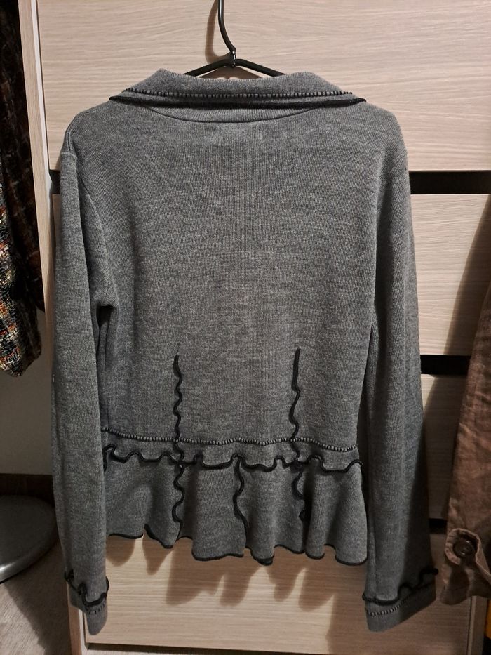 Gilet gris - photo numéro 2