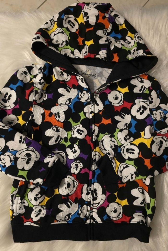 Neuf non porté  😍🥰sweat zippé molleton Disneyland paris  8 ans  unisex 🤩🥰