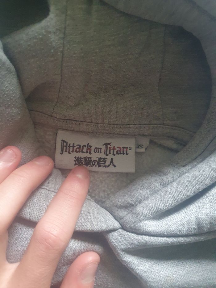 Pull attaque des titan - photo numéro 3