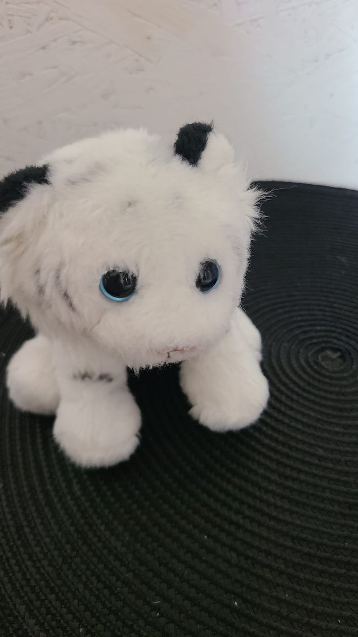Petite peluche doudou tigre blanc  gros yeux bleus rayé noir  gipsy