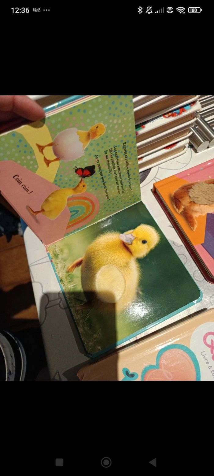 Livre bebe - photo numéro 2