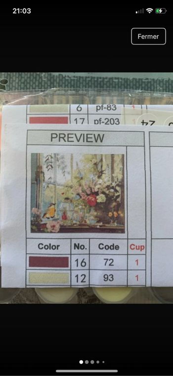 Kit complet de peinture par numéro - Neuf