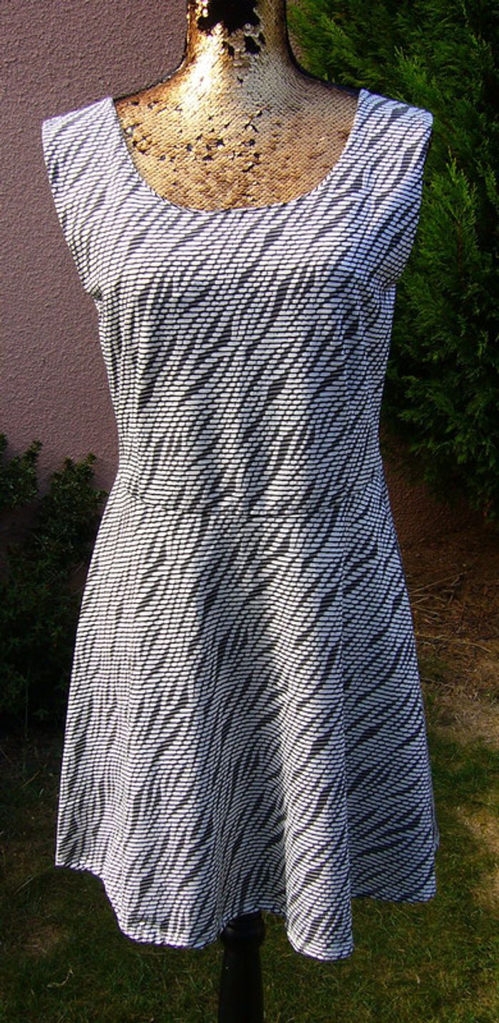 Robe patineuse - photo numéro 2