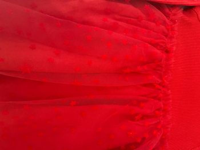 Robe a tulle rouge - photo numéro 2