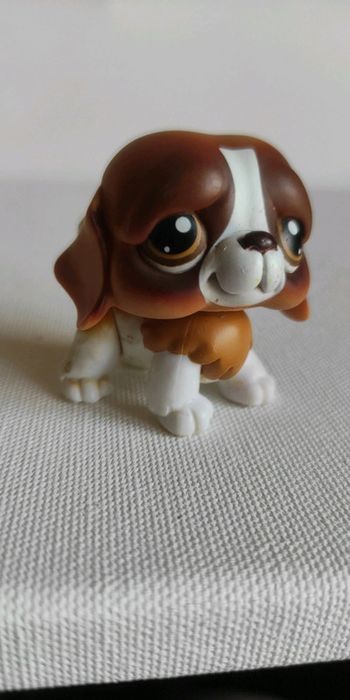 My Littlest petshop chien lps saint Bernard 229