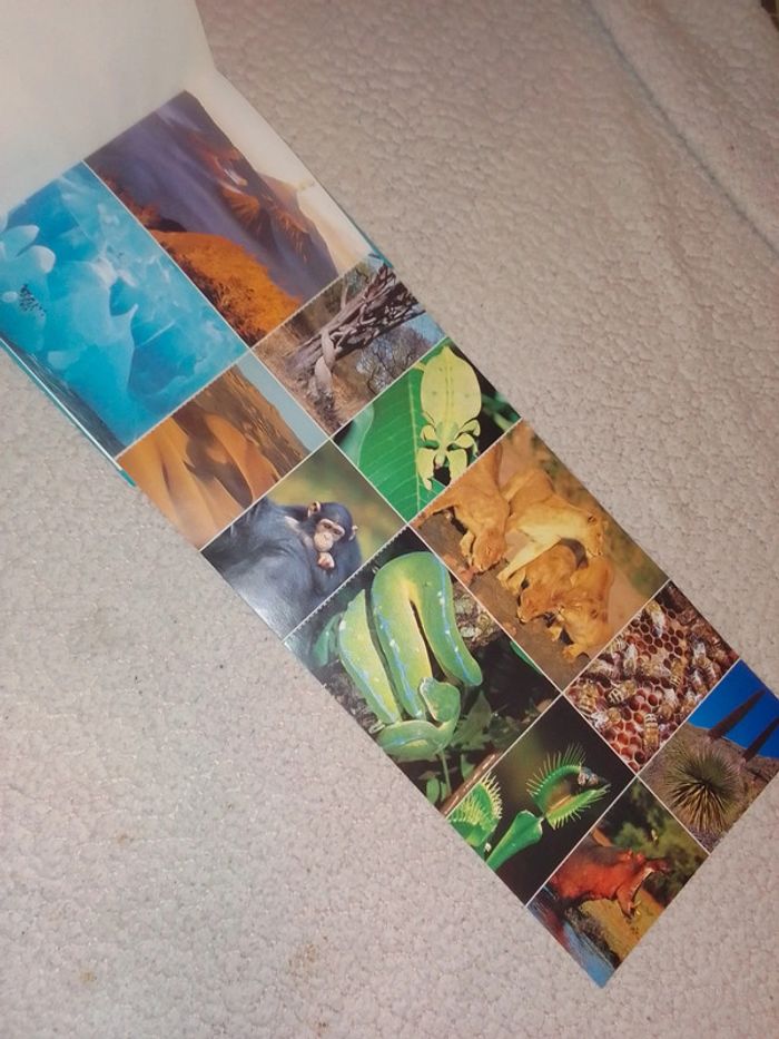 Quand la nature nous étonne 8/11 ans - photo numéro 3