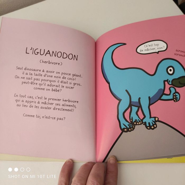 Dico Dino - photo numéro 3