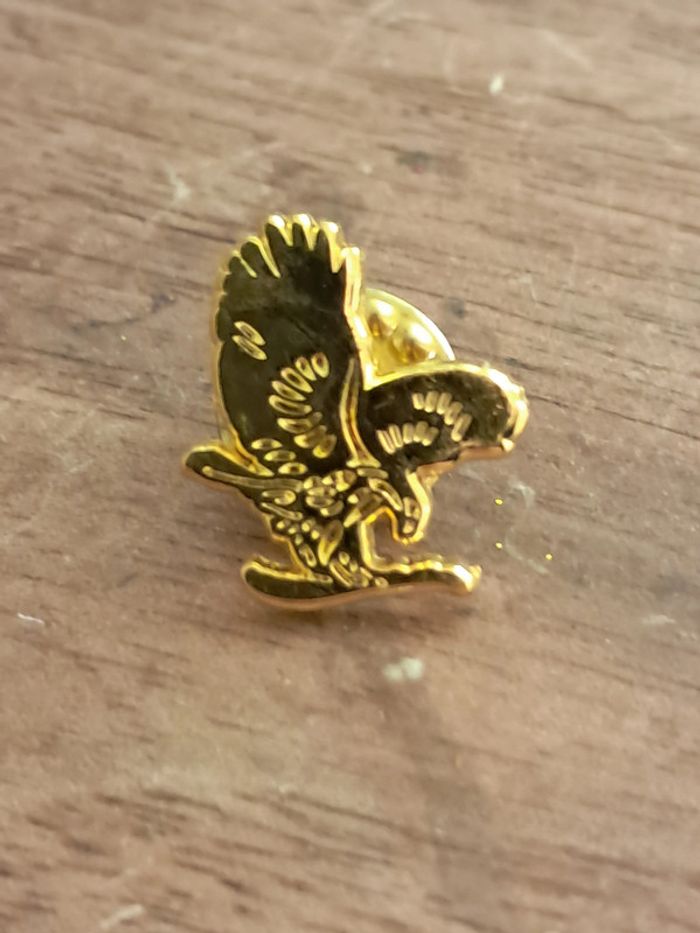 Pins aigle