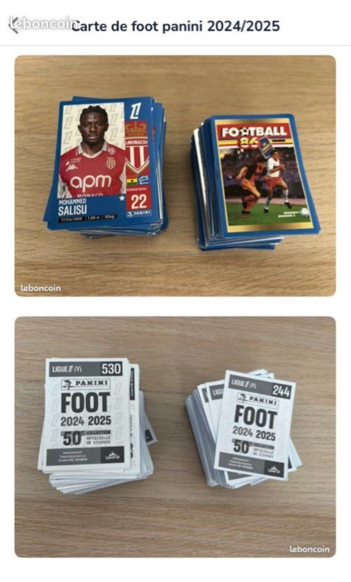 Carte panini foot 2024/2025