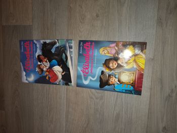 lot de 2 livres élisabeth princesse à versailles tome 6 et 8 neuf un cheval pour Elisabeth 8