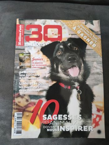 Magazine 30 millions d'amis numéro 379 décembre 2019