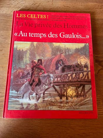 Livre Hachette Les Celtes La vie privé des Hommes au temps des Gaulois