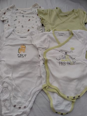 Lot de bodies manches courtes 12mois