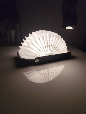 Lampe accordéon 🪗 en papier et bambou