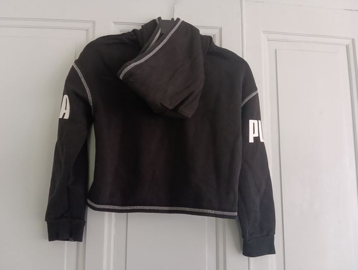 Pull puma - photo numéro 2