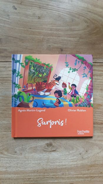 Neuf livre enfant Hachette Jeunesse sur le thème de l art Surpris toile de Rousseau