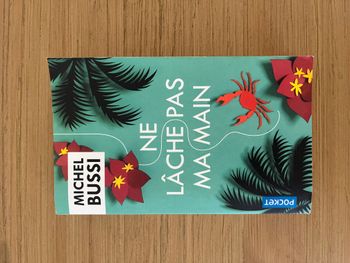 Ne lâche pas ma main - Michel Bussi