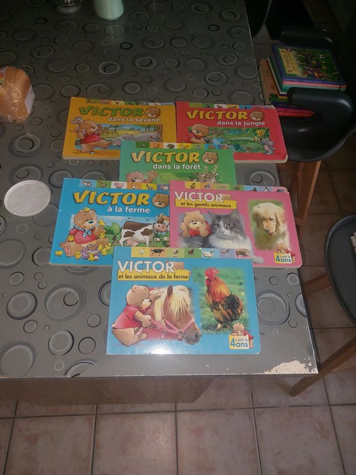 Lot Victor - photo numéro 2