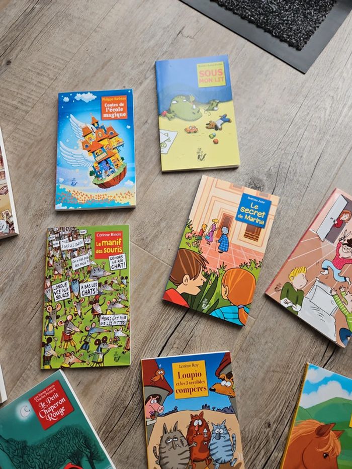 Livres - photo numéro 8