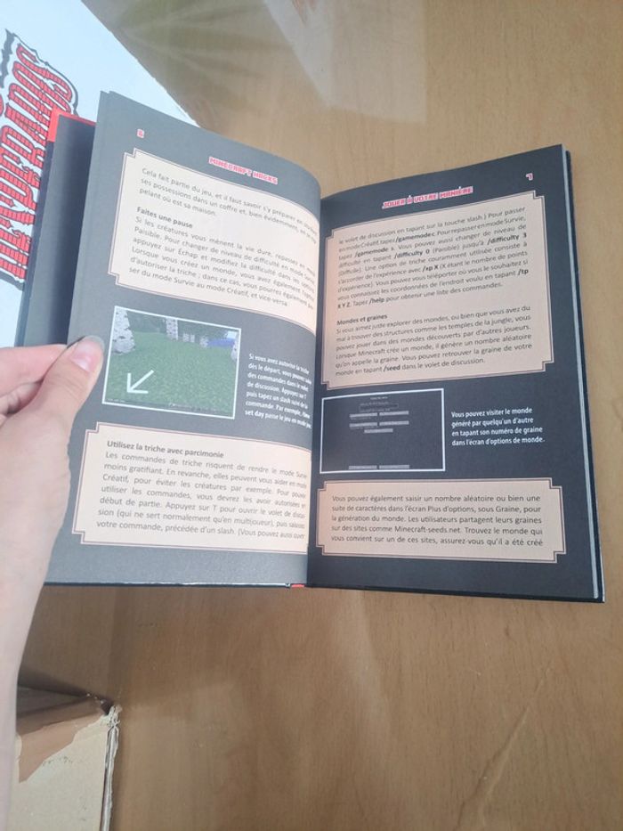 Guide hacks pour jouer à minecraft - photo numéro 2