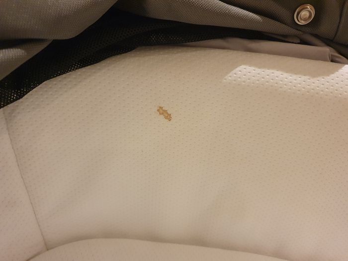 Poussette Trio Chicco Activ3 - photo numéro 8