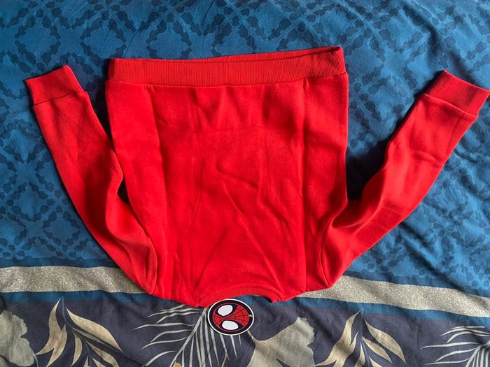 Pull spidey - photo numéro 3