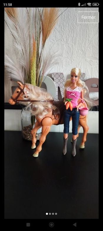 Barbie Mattel équitation cheval accessoires et vêtements habits