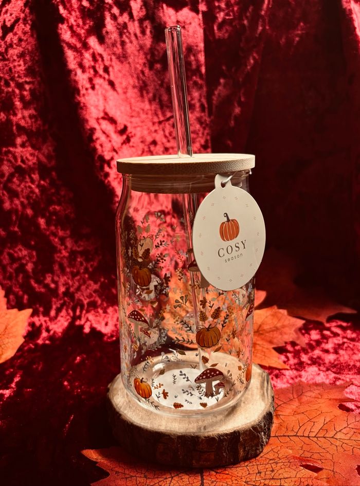 🍂 Verre cosy avec paille en verre