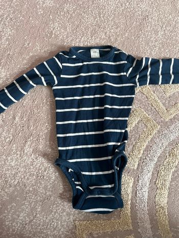 Body rayé