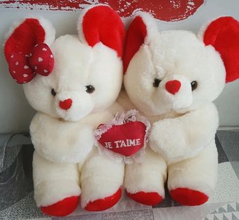Duo de peluche blanc et rouge