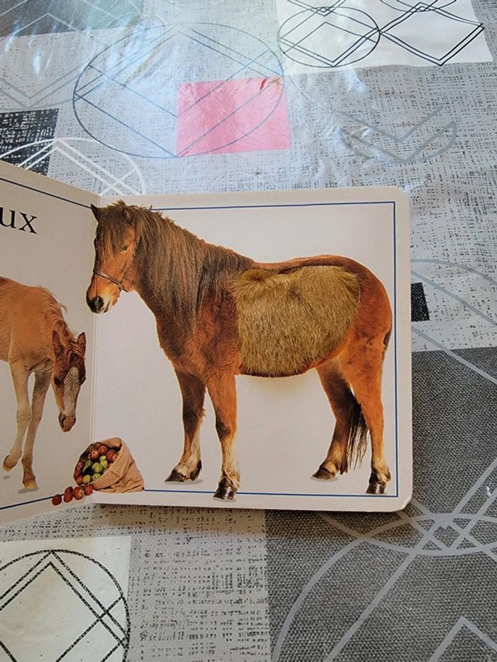 Touc à tout poneys - photo numéro 6