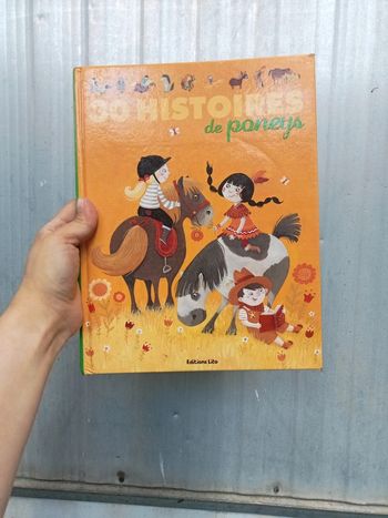 Livre histoire de poneys